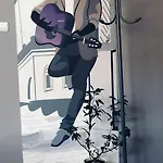 Harmonica Apartament