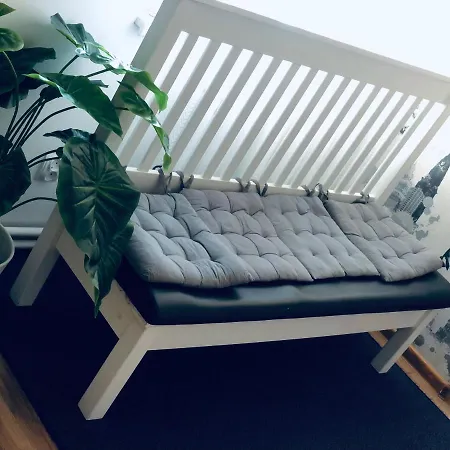 口琴一室公寓 *